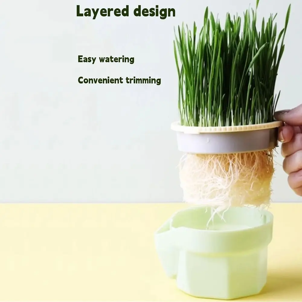 Easy To Grow Cat Grass Box Planter Reusable Hydroponic Microgreens Growing Kit Hierarchical Design Detachable