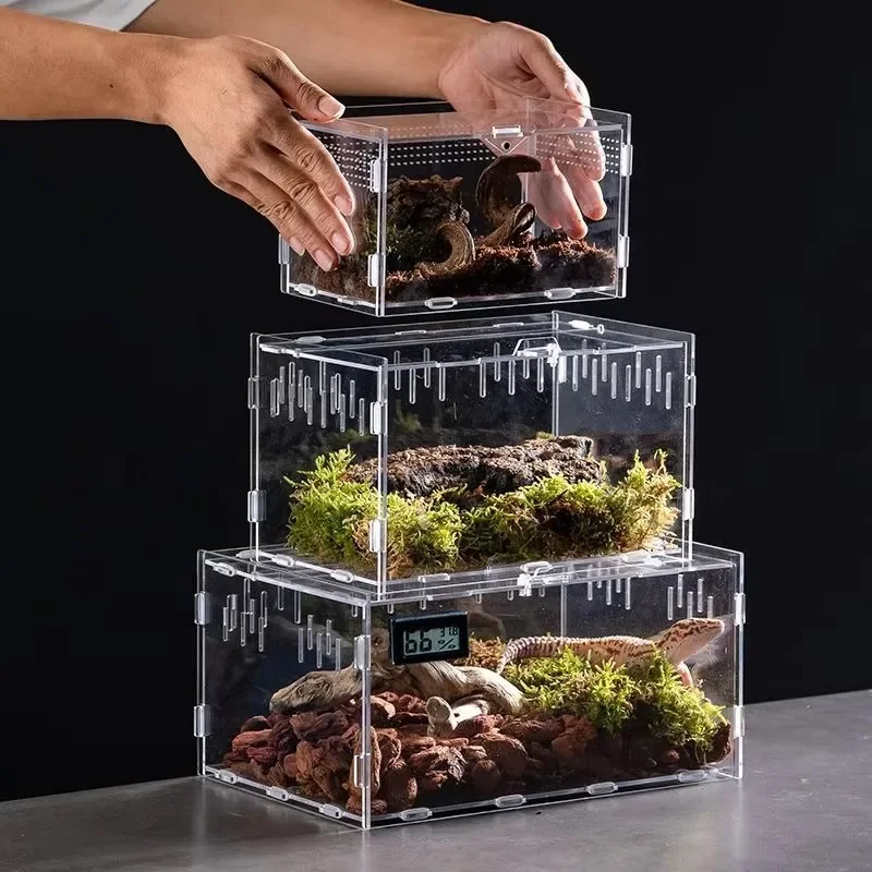 Transparent Acrylic Reptile Terrarium Habitat Box Nano Arboreal Tarantula Enclosure Spider Scorpion Bearded Dragon Habitat