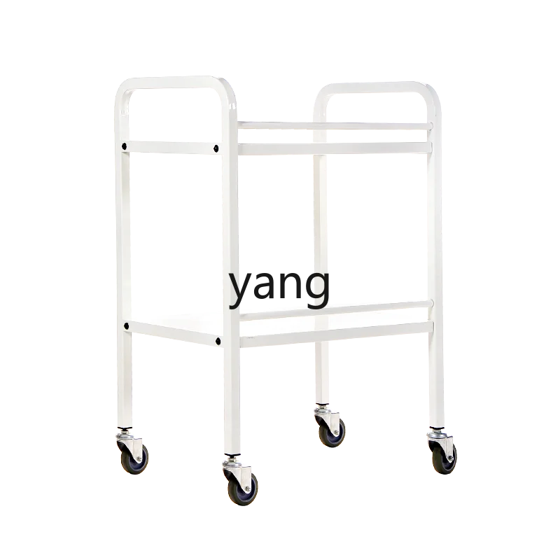 

TGF metal double layer hair tool cart rack removable storage rack storage rack