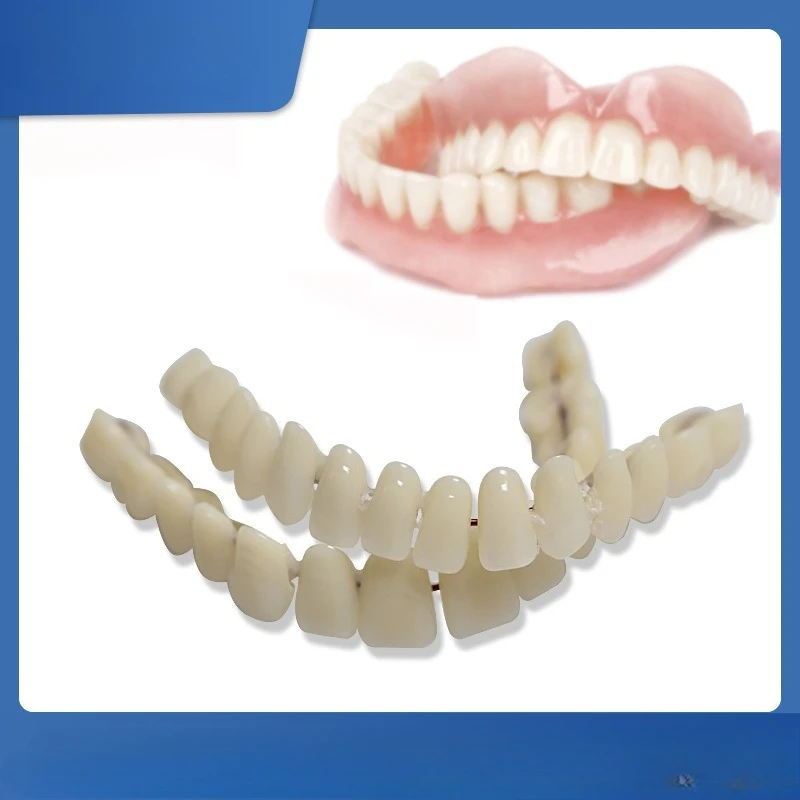 28Pcs tooth/Pair Universal Resin False Teeth Model Double Row Plastic Dentures Model Dental Material Teeth Teaching Tool Model