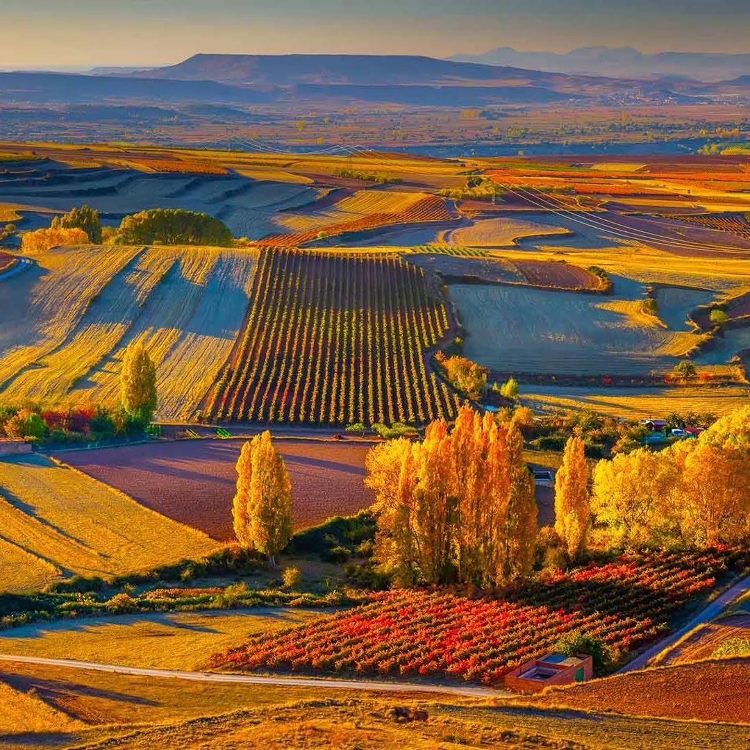 13.6 inch Touch Screen For Chrysler 300C 2012-2019 Carplay GPS Navigation Android 13 Car Multimedia Radio Player Unit 4G WIFI AI