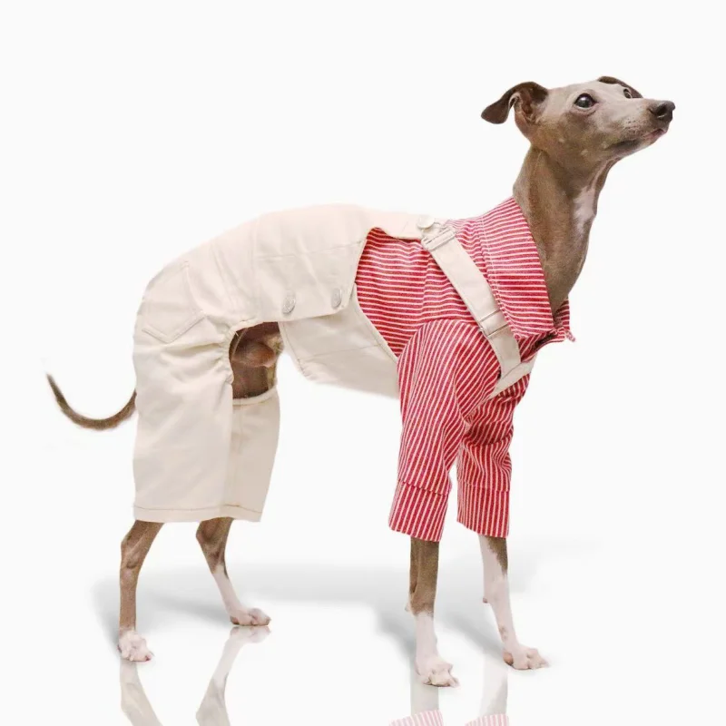 Pet Clothing Adjustable Blue Thin Denim Carrier Pants for Mid Dogs 4-legged Spring White Coat for Italy Greyhound Wellingtonian - Image 5