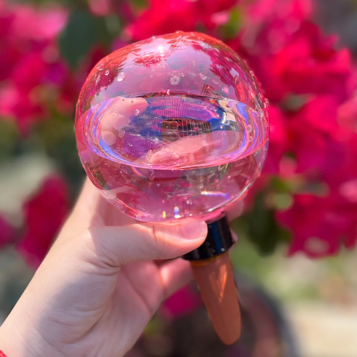 Thumbnail 3 - #14 Compare Watering Globes Before You Buy