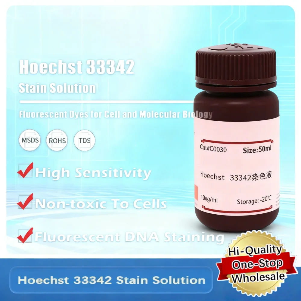 Hoechst 33342 Stain Solution For Nucleic Acid Staining And Cellular Research Applications Original Product