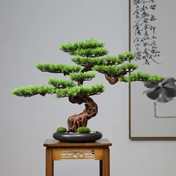 Simulation bonsai trees are suitable for decoration, immortal welcoming pine, green planting, artificial landscape, home, living
