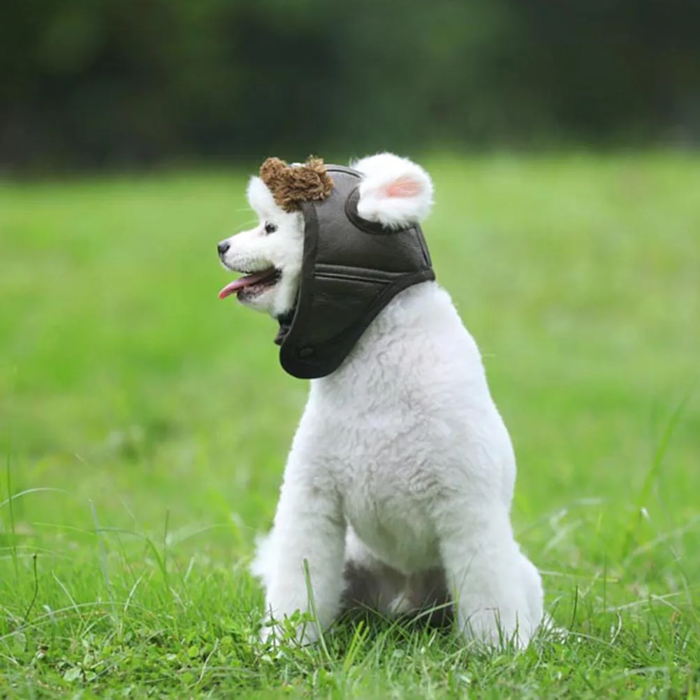 

Pet Costume Creative Pet Show Costume Pet Creative Pet Costume