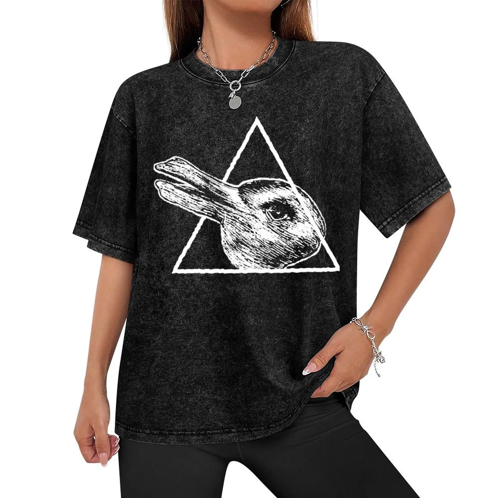 The Rabbit-Duck Illusion - Philosophy Wittgenstein Design T-Shirt man clothes tees Louboutins T-shirt men