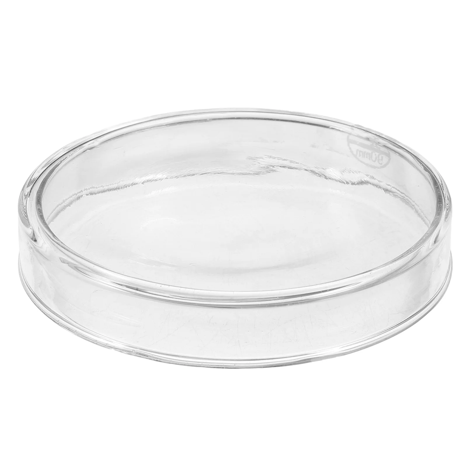 

Plate Holder Laboratory Petri Dish Agar Dishes for Mushrooms Plates Science Supplies Container