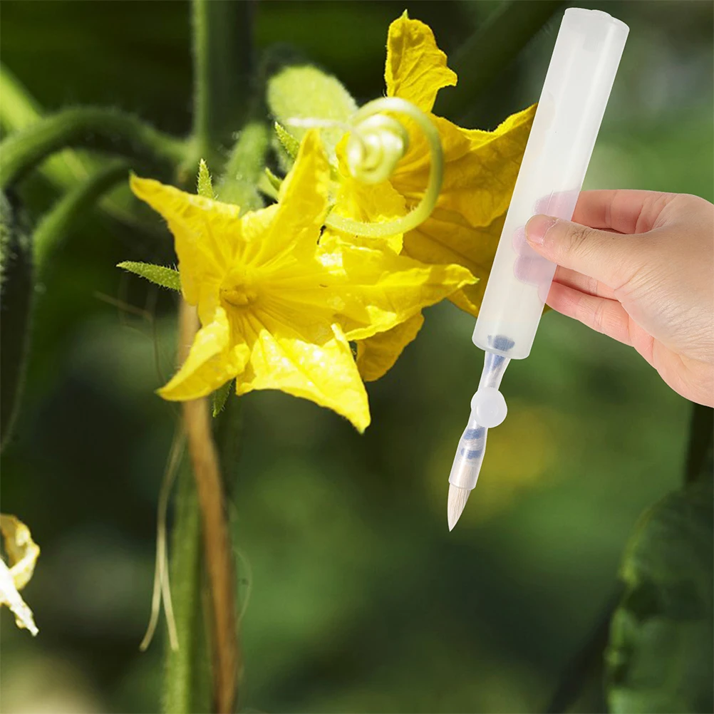 

2 Pcs Pollinator Pen Manual Tomato Eggplant Cucumber Vegetable Indoor Garden Tools Strawberry Brush Plant Hand Pollination