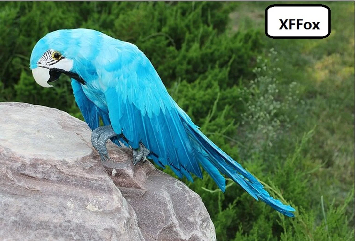 big real life light blue parrot model foam&feather simulation wings parrot bird gift about 50cm xf0152