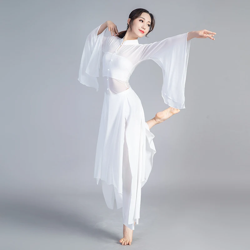 Top a maniche larghe da danza classica Stile cinese Tradizionale ed elegante Pratica Hanfu Camicetta Costume da danza moderna da fata femminile