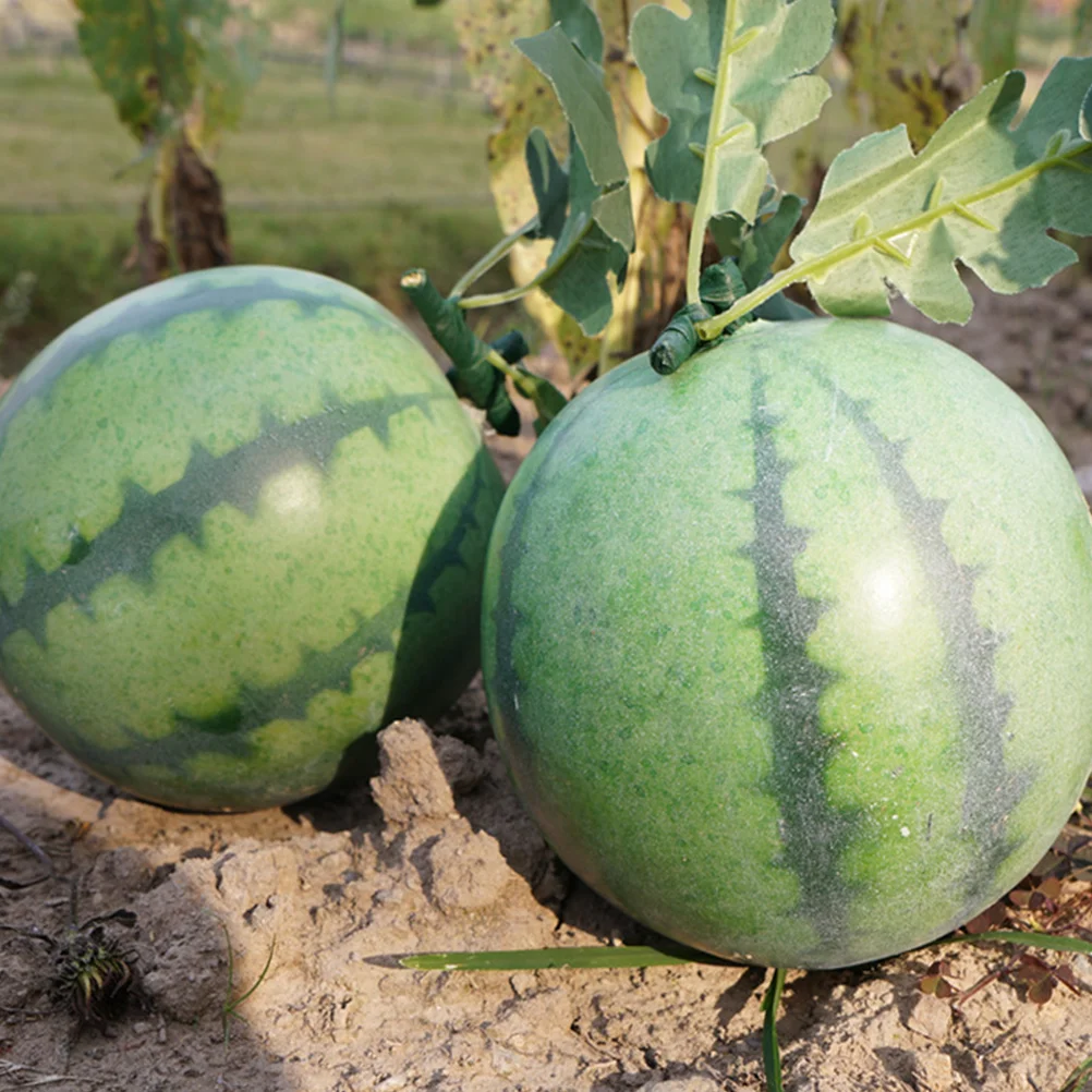 Lifelike Simulation Watermelon Display Prop Artificial Fruit Decoration for Photography and Home Decor