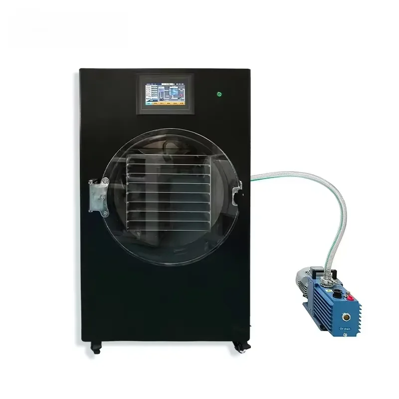 Commercial Small Scale Vacuum Dryer for Home and Professional Use for Food Preservation