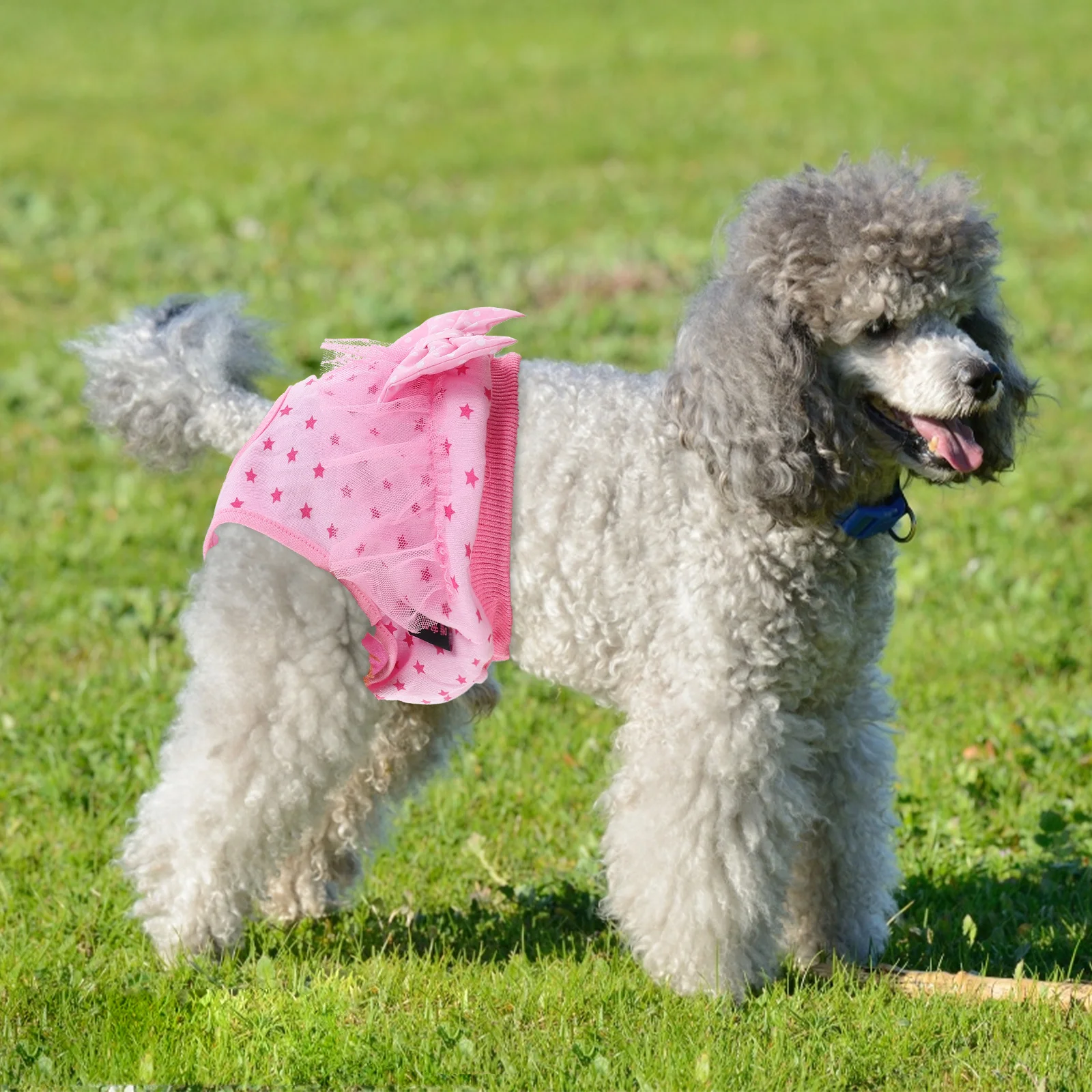 

Pet Dog Physiological Pants Cotton Comfortable Reusable Washable Sanitary Pantie For Female Dog Period Care Pet Supply