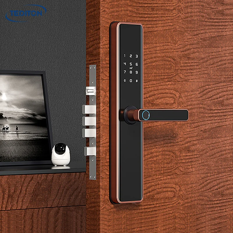 Tediton Wholesale Electronics Fingerprint Tuya wifi Smart Gate Door Lock