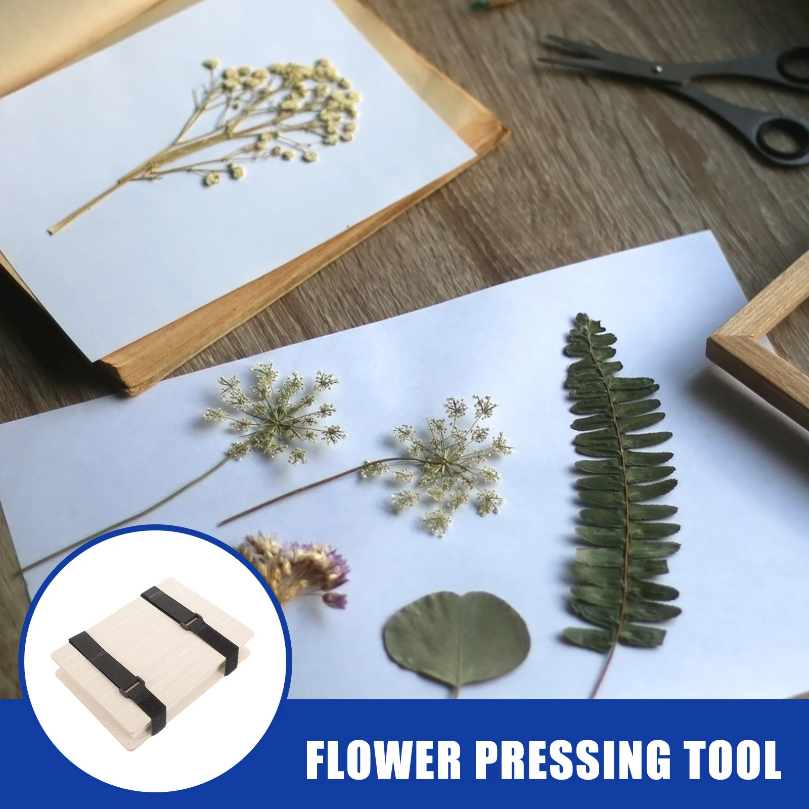 

1 Set Pressed Flower Kit Sturdy Wooden Plates Sponge Layers For Diy Nail Art Accessories Gift Flower Pressing Tool Specimen Set