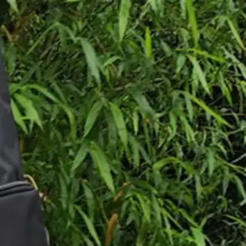 

Водонепроницаемая прямоугольная сумка для рыболовных снастей, портативная сумка для удочек, короткая модель, черная, зеленая, хаки, 120*25 см, для рыболовных инструментов