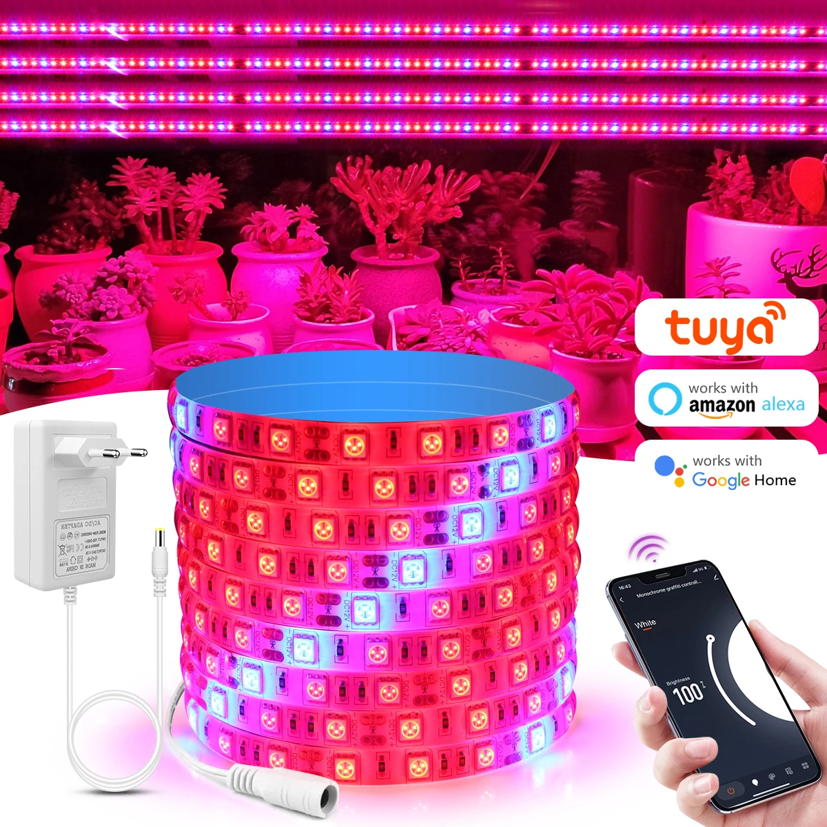 Smart Wifi Full Spectrum Grow LED Strip Light 12V Plant Growth Tent Lamp For Greenhouse Hydroponic Plant use Alexa Google Home