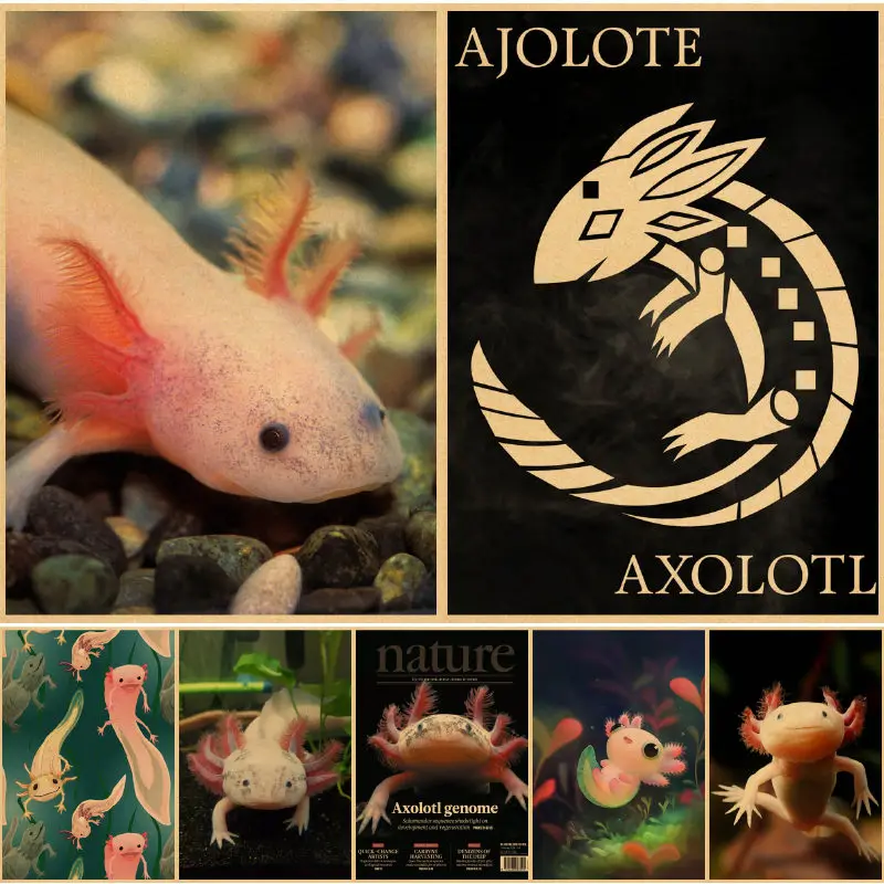 ajolote Axolotl poster Kraft Paper Print Poster Wall Art Decor Modern Home Room Bar Decoration Painting