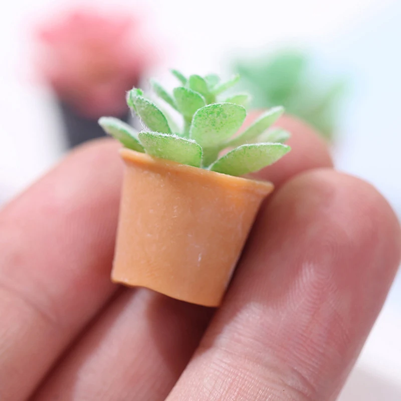 2Pcs Mini Potted Succulent Cactus Plant Model Toys Minaituare Dollhouse Accessories For Garden Scene Doll House Decoration