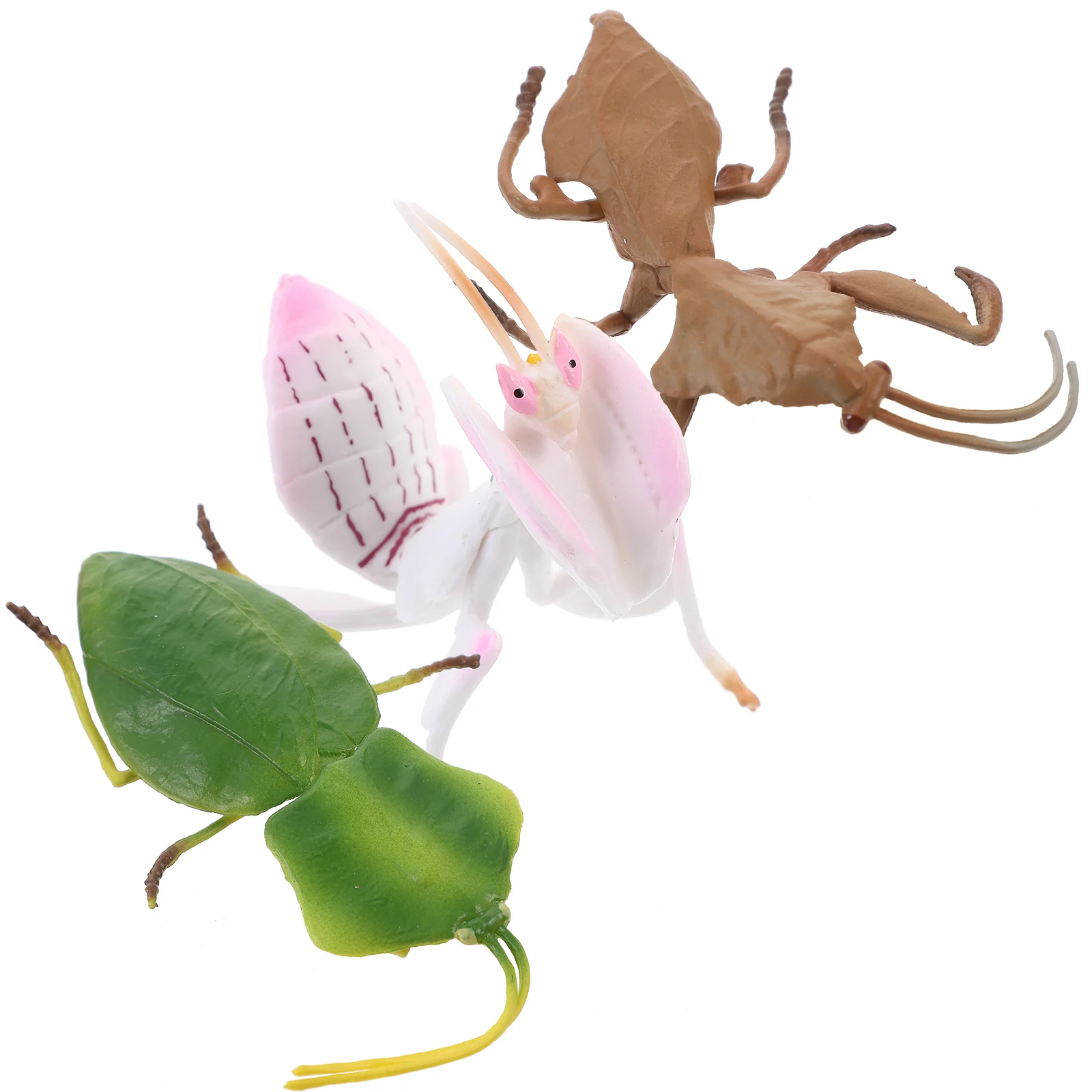 3-delig simulatie bidsprinkhaan model speelgoed kunstmatig kinderbeeldje meisje nep insect decor herkenning plastic