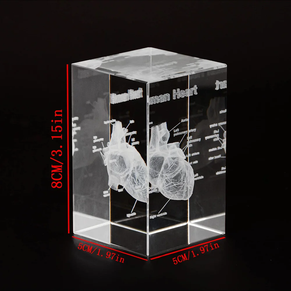 3D Crystal Human Heart Anatomy Model Cube Miniature Figurines For Hospital Display Souvenirs Cardiology Cardiologist Gifts