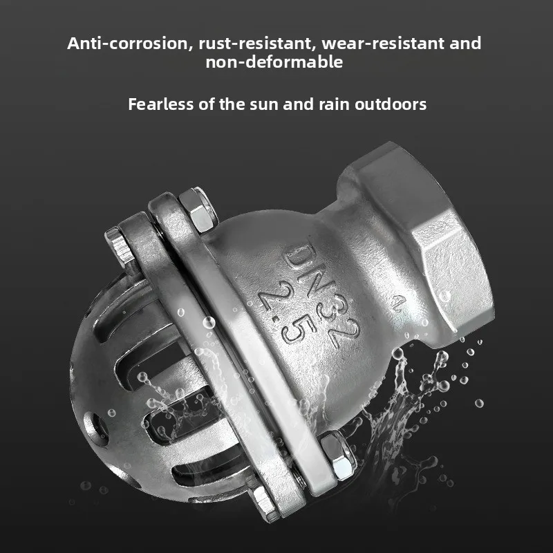Corrosion-resistant Showerhead Bottom Valve Water Pump Lift 304 Stainless Steel Wire Buckle Water Suction Check Valve