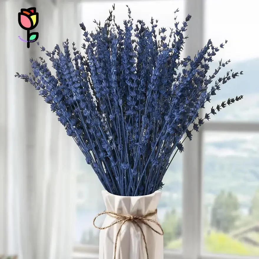 

70g Natural Preserved Dried Flowers Lavender Bouquets Wedding Decoration Artificial Plants Pampas Grass Living Room Party Decor