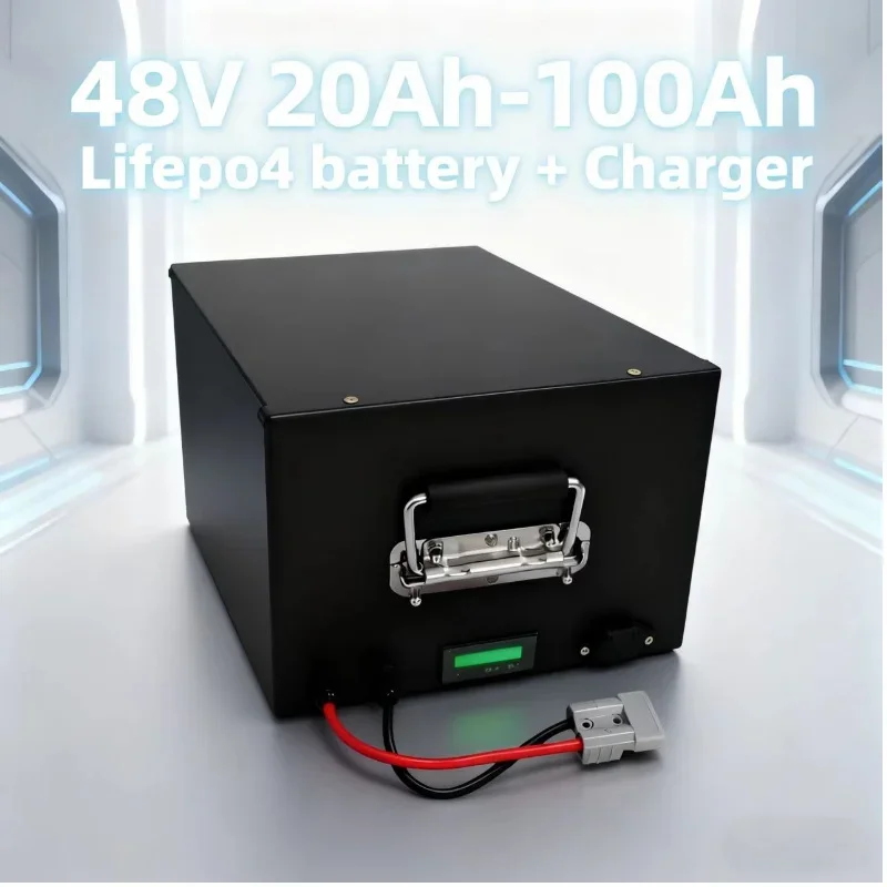 Lifepo4 Lithium Bat…