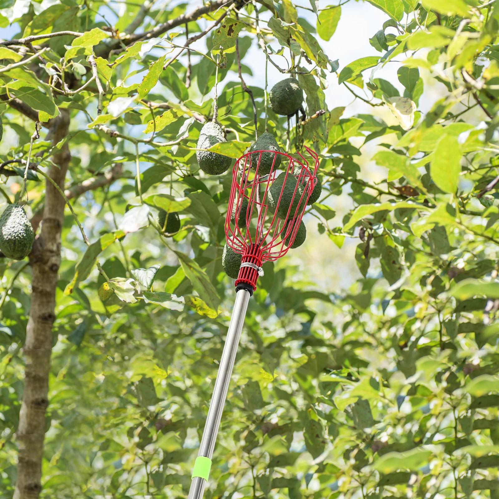 

Fruit Picker Tool Apple Orange Pear Peach Farm Supplies Basket Long Reach Durable Lightweight Easy Assembly Garden Tools