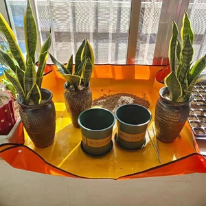 Thảm vườn gấp không thấm nước, miếng chậu bầu cho cấy ghép hoa hỗn hợp đất 12 Làm vườn bán hàng chính hướng tới - 3