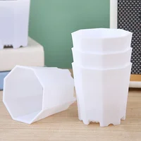 Pack de 10 Macetas Octogonales de 7 cm para Suculentas, Plantas y Decoración
