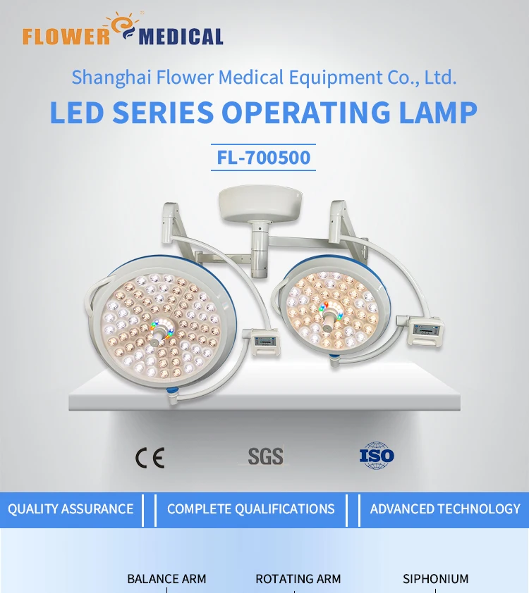 Electric LED Examination Light: Wall-Type Surgical Lamp for Pet Hospitals and Dental Rooms