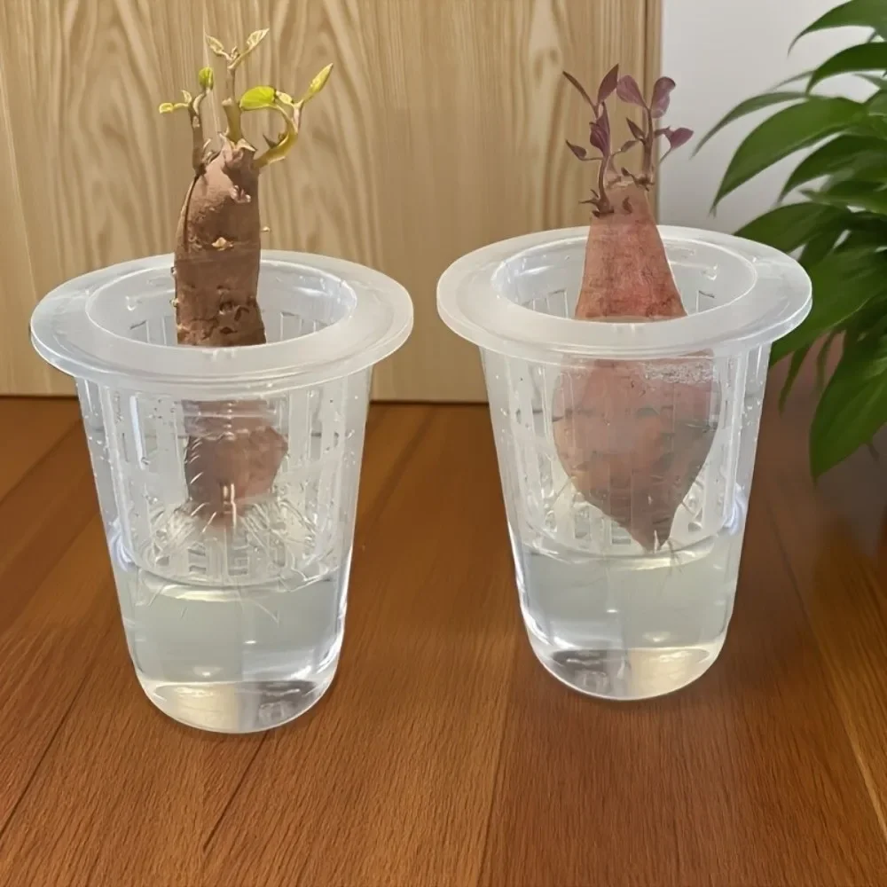 Transparent Plastic Hydroponic Mesh Cups Root View Cups Plant Propagation Clear Hydroponic Pots Planting Container