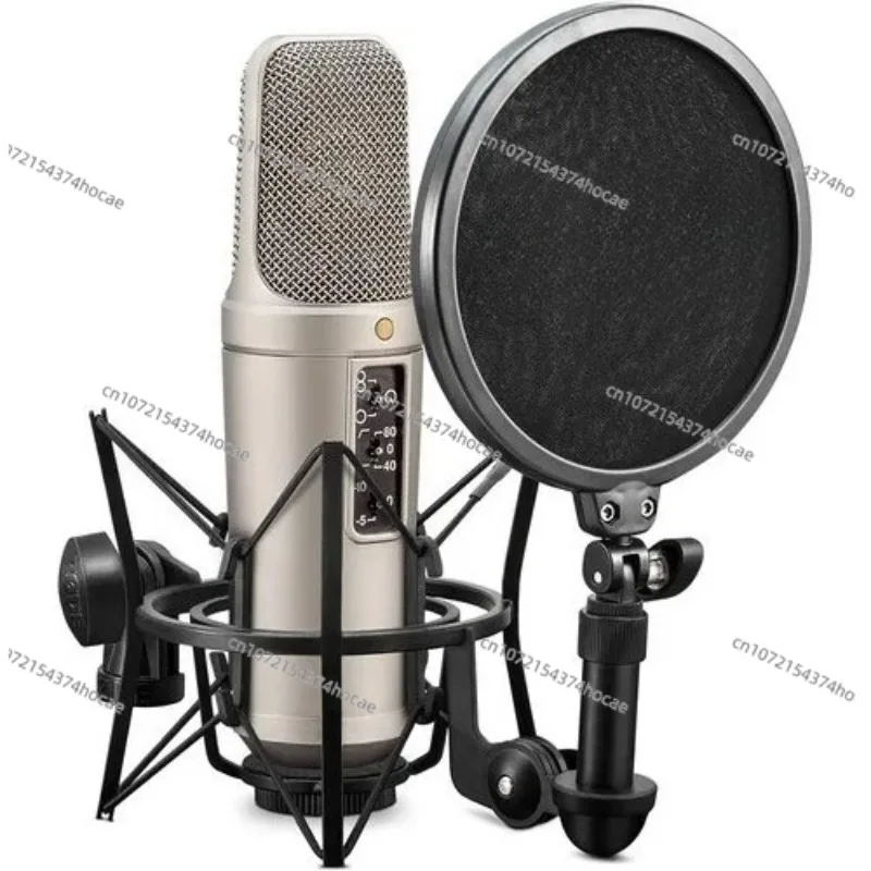 Best Quality  NT2-A Large-Diaphragm Multipattern Condenser Microphone