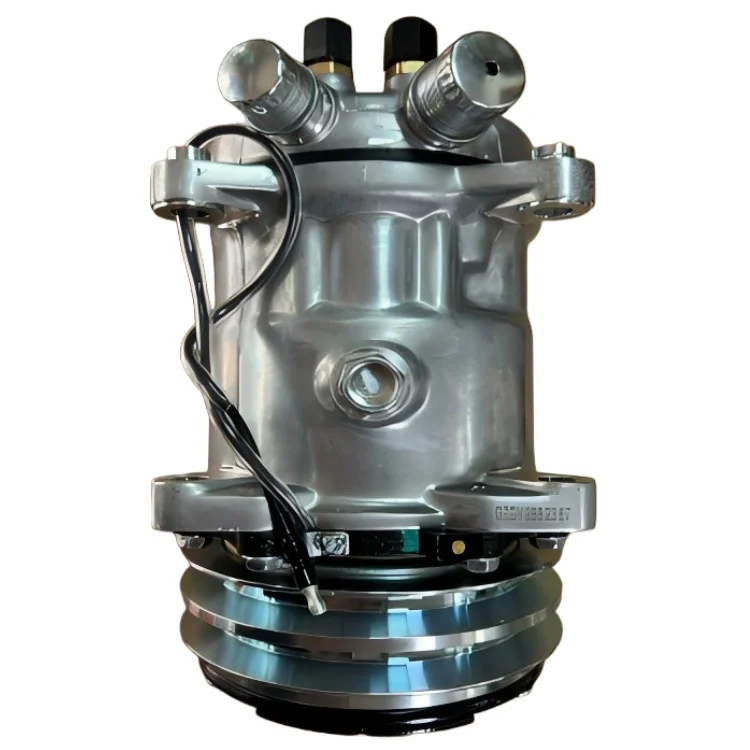 Chinese 5S14 Small R404a AC Compressor For Thermo King Genuine & Substitute