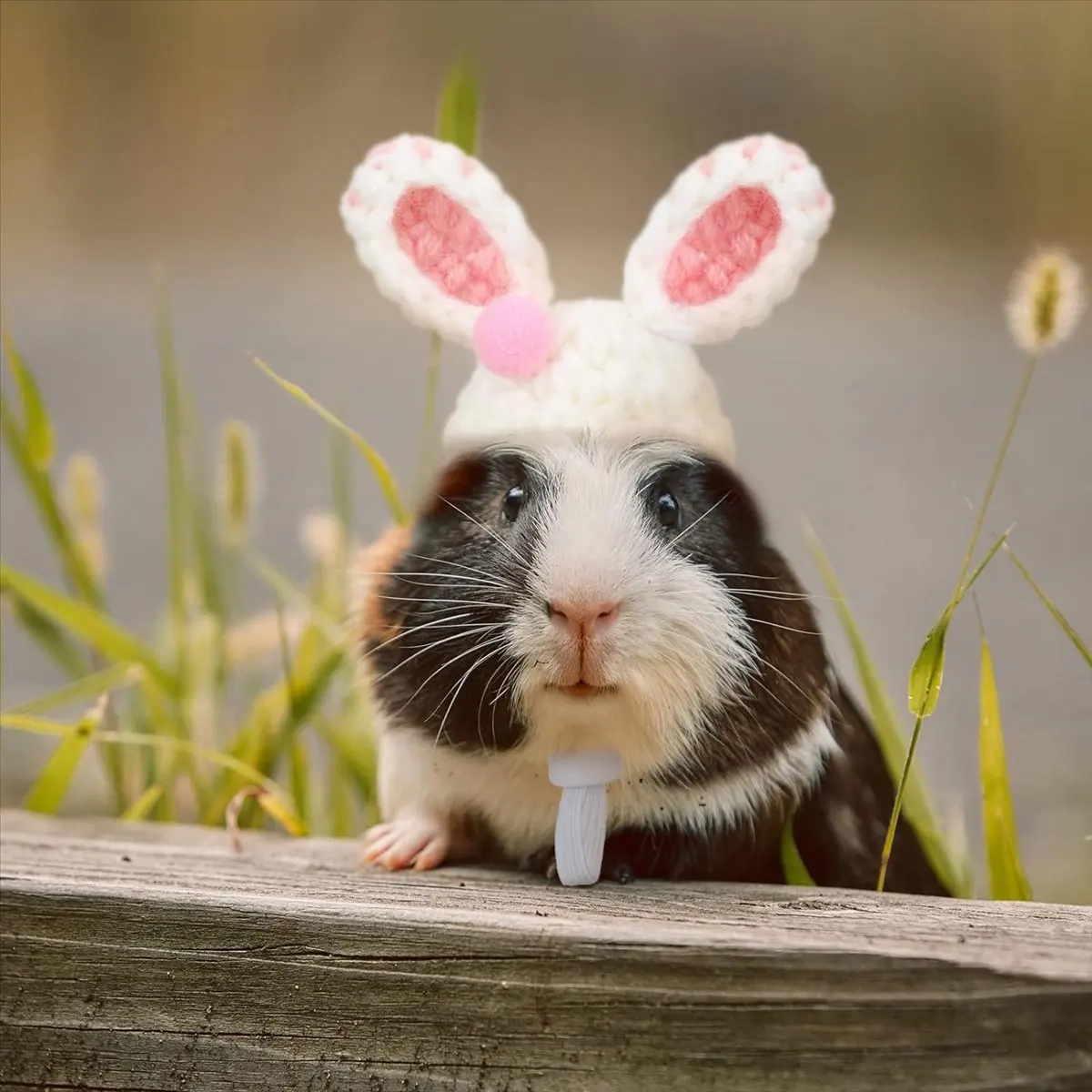 AA83 4 Pieces Hamster Hat Mini Small Animals Hat with Adjustable Strap Lovely Hand Knitted Frog Rainbow Carrot Tiny Hats