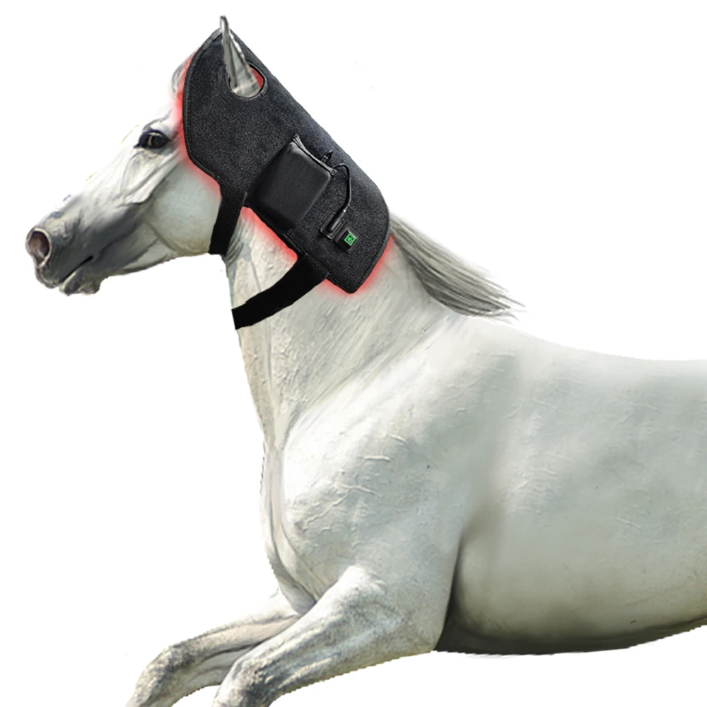 Идея на заказ, 3-х чип-светодиоды, красные инфракрасные светотерапевтические устройства, обертывание головы лошади и шеи для сообщений, пояс для головы лошади