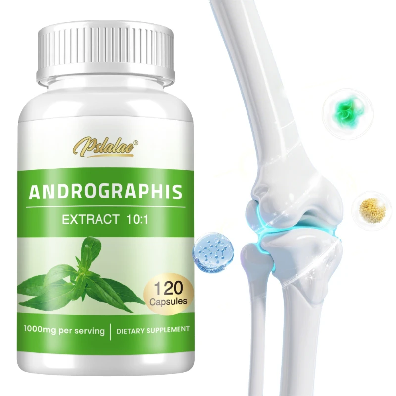 

Andrographis 1000mg - Beneficial for Immune System and Brain Health, Promotes Joint Health, and Enhances Mobility