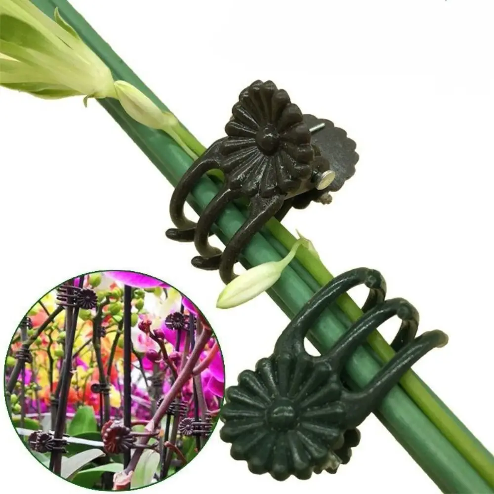 

Small Green Flower Grow Upright Plant Support Grafting Branch Clamping Plant Clip Vine Clips Support Clamp Orchid Stem Clip