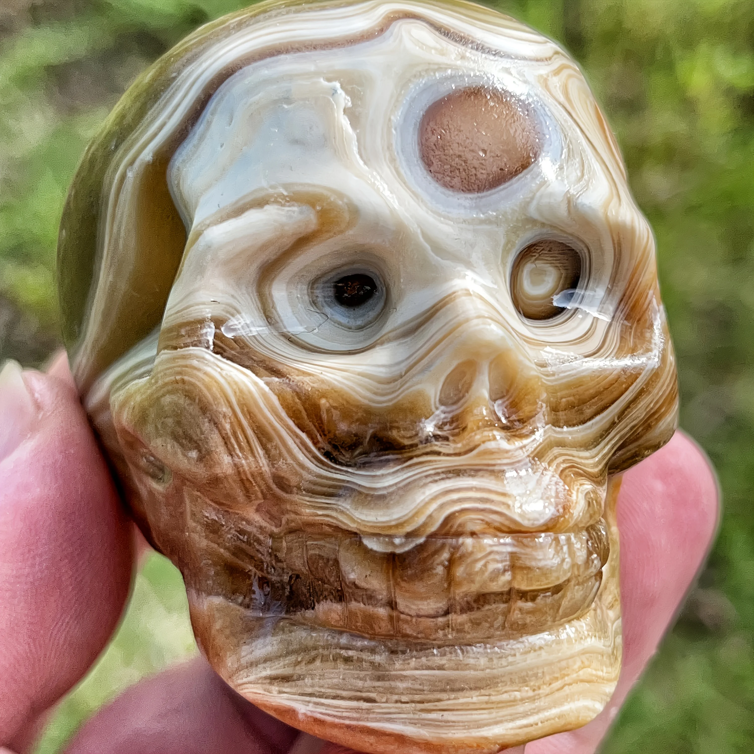 1 piece of CRYSTALHOLA natural chocolate stone skull - real 3D carved decoration with amber band, detailed texture