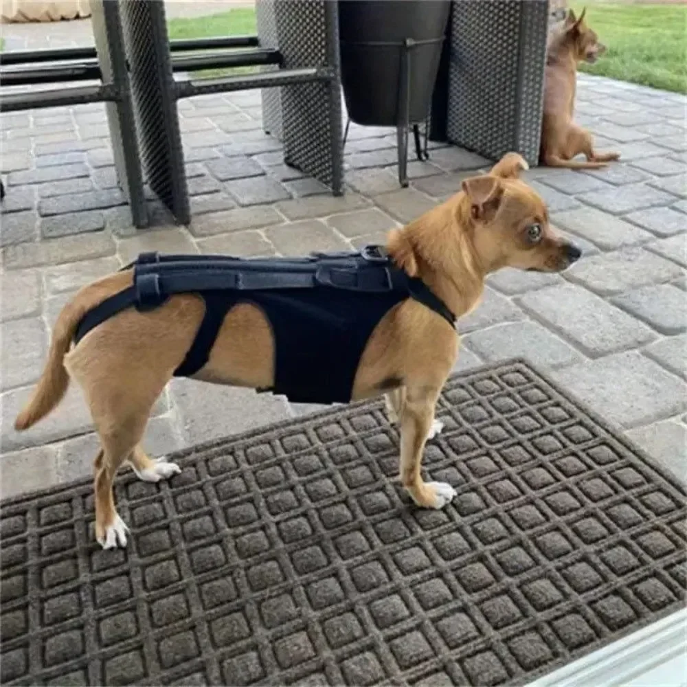 Adjustable Dog Back Support Vest Breathable and Comfortable Spinal Support Suit Back Protector Dog Back Support Rehabilitation