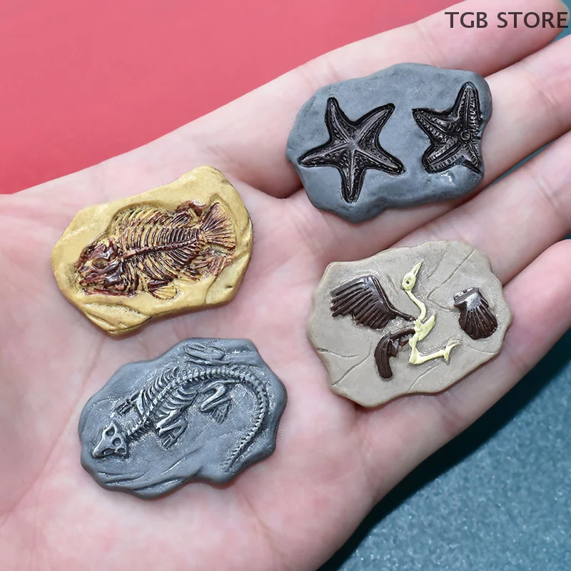 4 pezzi/set mini dinosauro fossile modello simulazione miniature artigianato decorazioni micro paesaggio casa delle bambole ornamento giocattolo