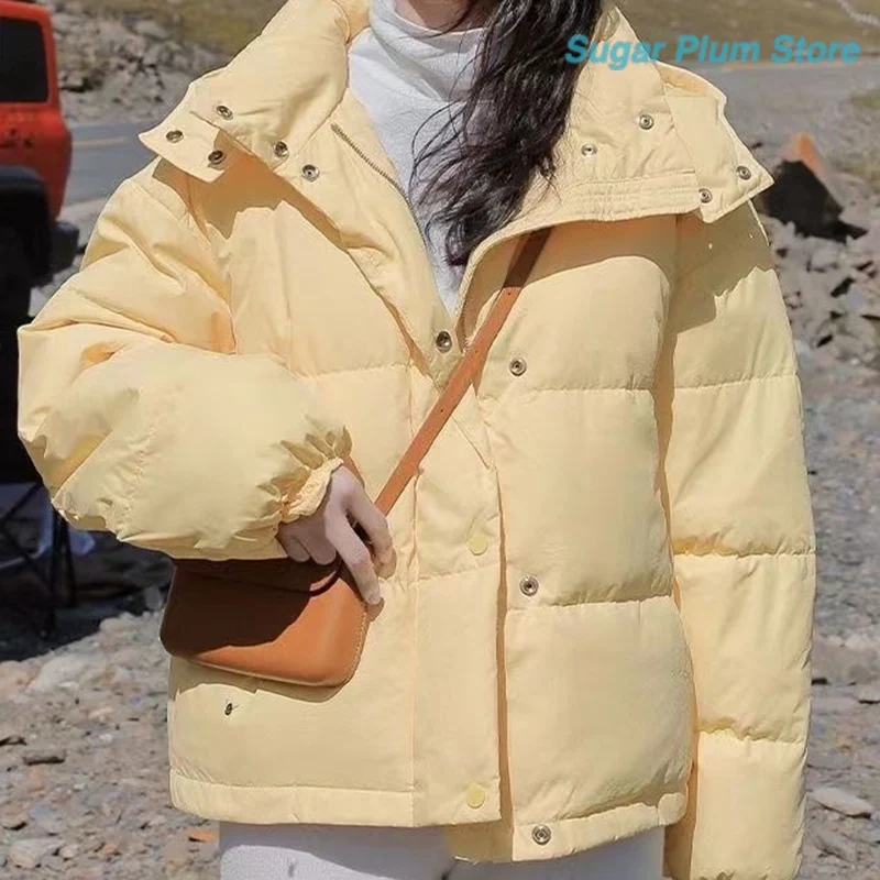 Korean Version of The Campus Wind Winter Outdoor Women's New Hooded Loose Cotton-padded Jacket Comfortable Leisure Trend Coat