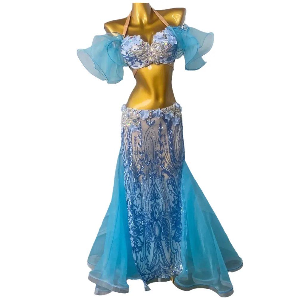 밸리 댄스 의상, 여성 성인을 위한 고급 자수 다이아몬드 롱 드레스, 삼바 퍼포먼스 하이 플래시 드레스