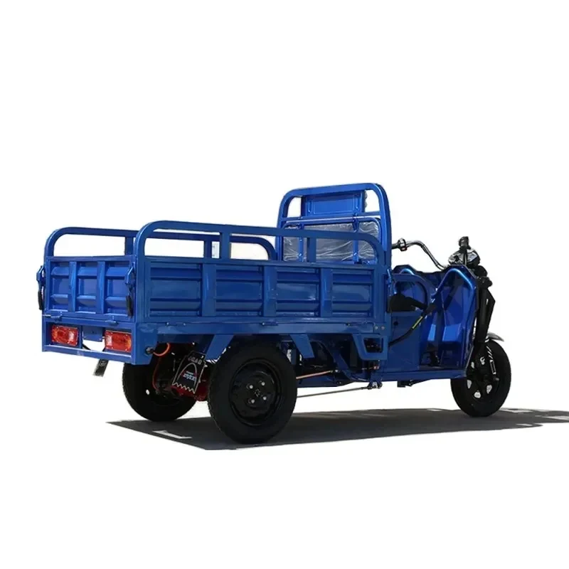 2025 New 800-1000W Cargo Trike Multifunction Sanbengzi 3 Wheel Tricycle Bike Adults