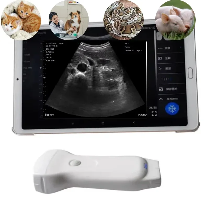 Veterinary  B&W Color Handheld Wireless 3 in 1 Ultrasound Machine for Animals Clinic