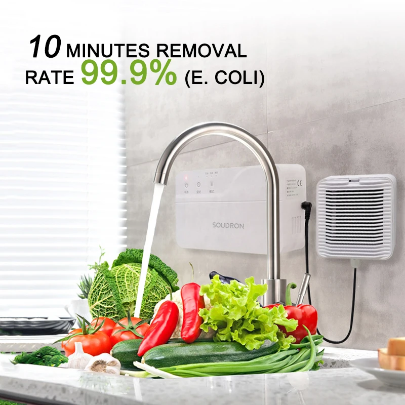 Wall mounted electrolysis household food cleaner fruit and vegetable cleaning machine Food washer disinfection for home