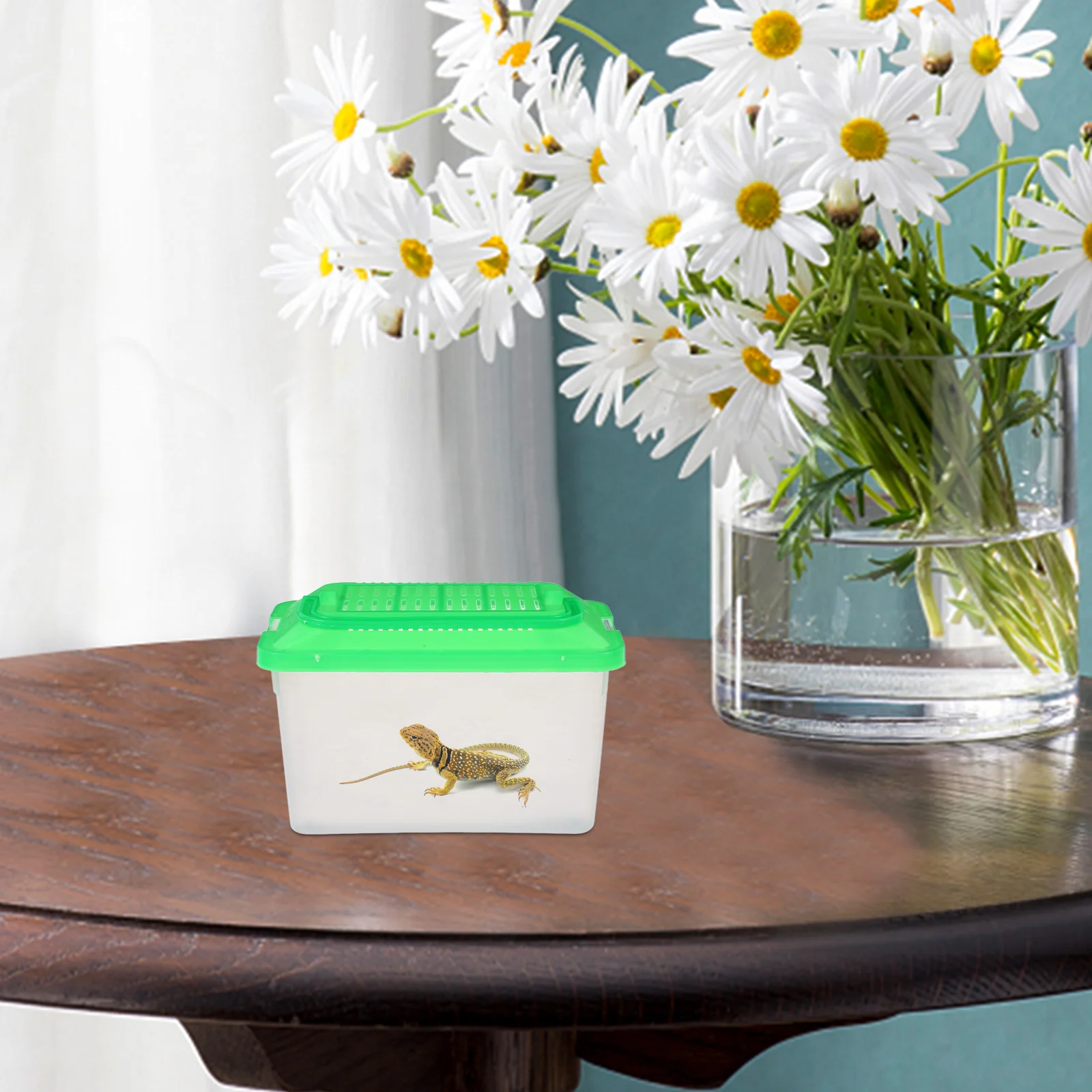 

Pet Transport Box Plastic Aquarium Fish Cage Small Reptile Tank Feeding Tub Terrarium Lizard