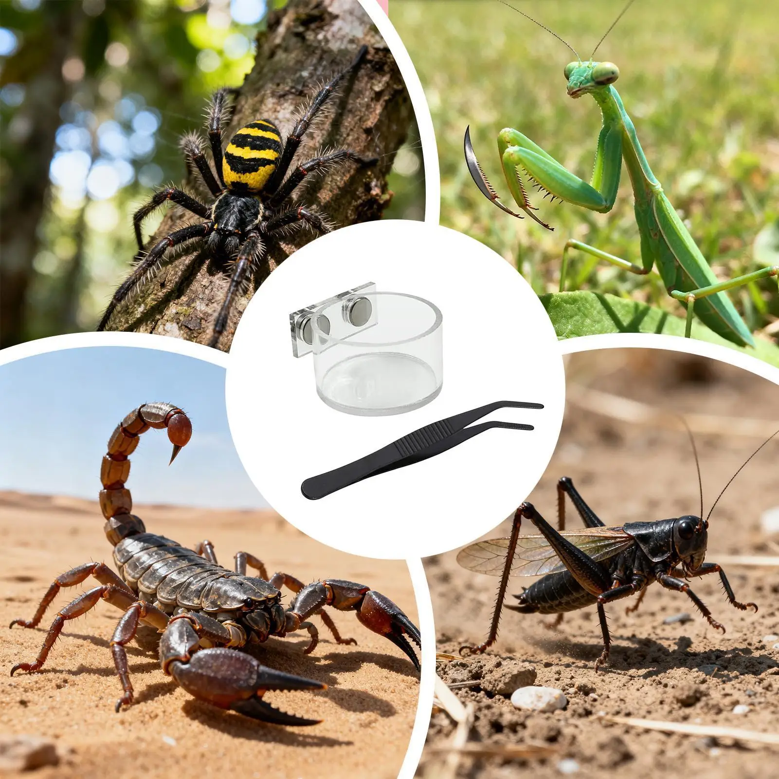 Thumbnail 3 - #29 Trending Reptile Water Bowls Right Now
